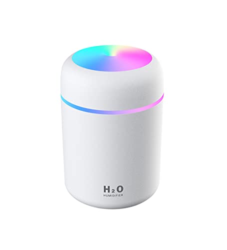 Portable Mini Humidifier - 300ml Cool Mist, LED Night Light, USB Desktop Humidifier, Grey