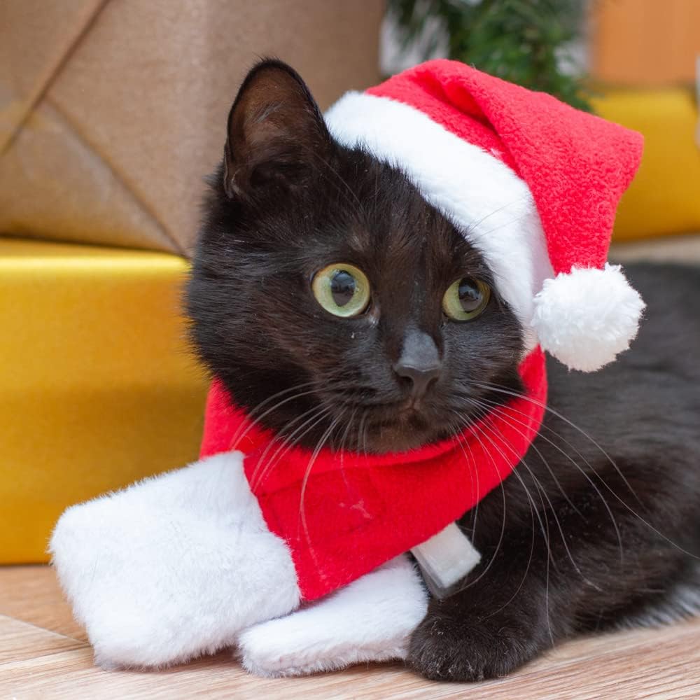 2PCS Cat Christmas Costume - Santa Hat & Scarf for Pets Party Outfit