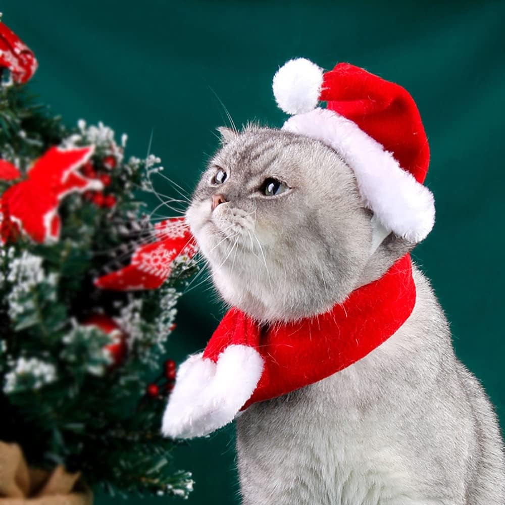 2PCS Cat Christmas Costume - Santa Hat & Scarf for Pets Party Outfit