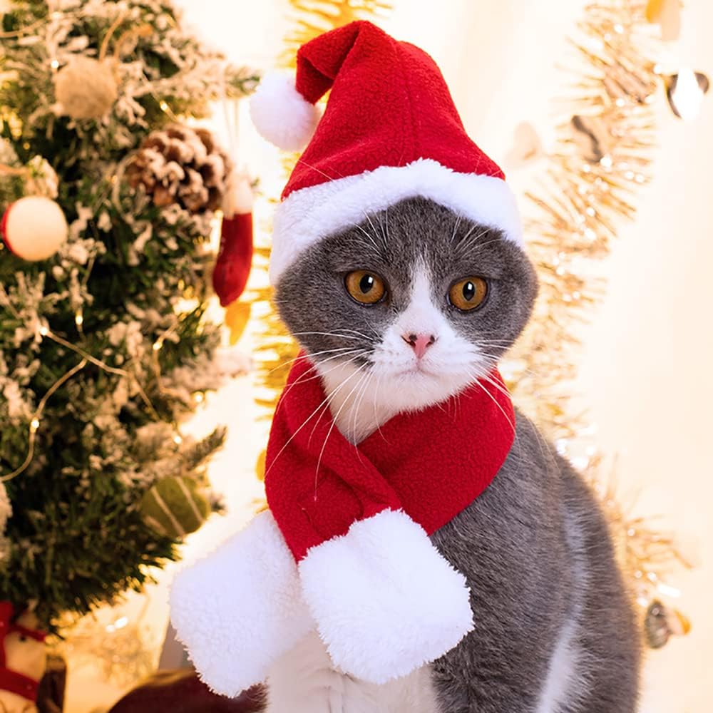 2PCS Cat Christmas Costume - Santa Hat & Scarf for Pets Party Outfit